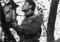 Atsitiktine nuotrauka