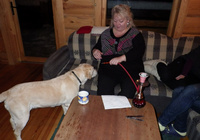 Atsitiktine nuotrauka