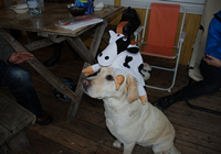 Atsitiktine nuotrauka