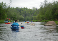 Atsitiktine nuotrauka